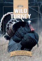 Understanding_wild_turkey